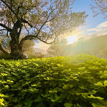 Haroupia Hillside וילה *